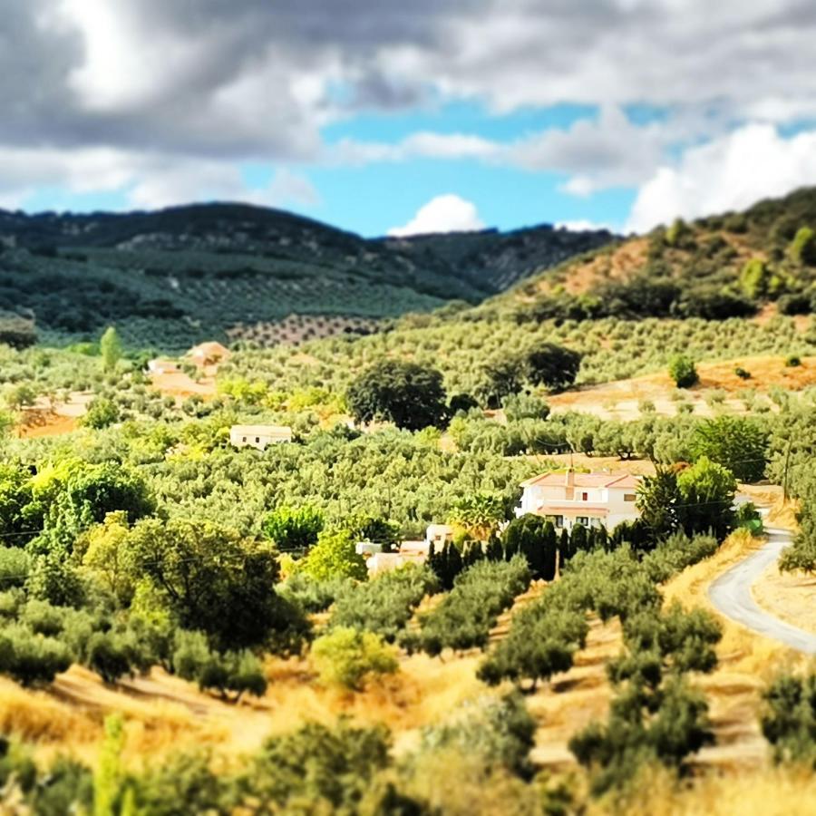 Cortijo Pennymaria Poolside Apartment Near Montefrio With Stunning Views エクステリア 写真