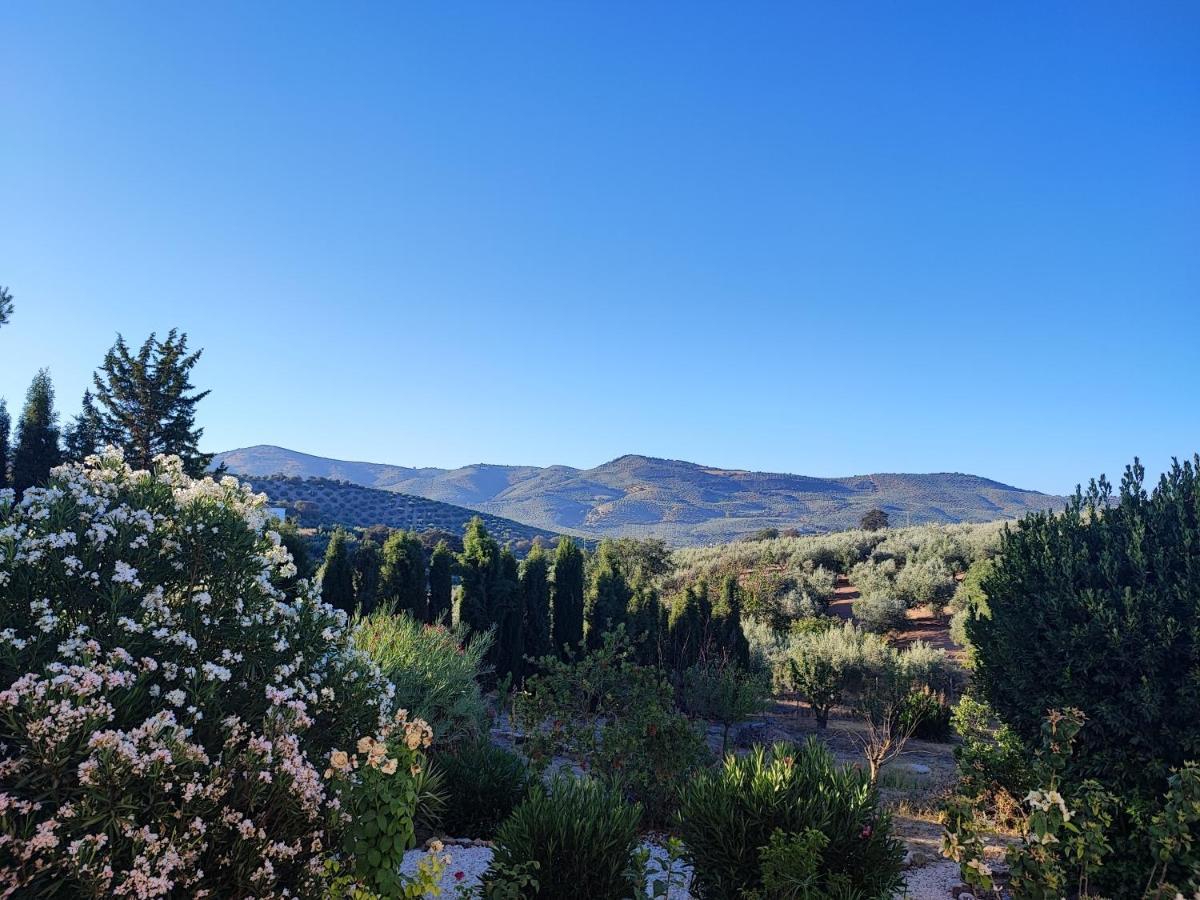 Cortijo Pennymaria Poolside Apartment Near Montefrio With Stunning Views エクステリア 写真