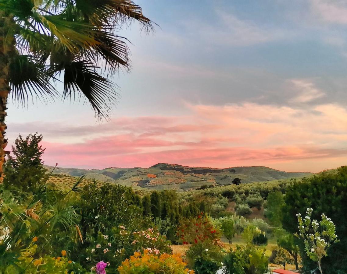 Cortijo Pennymaria Poolside Apartment Near Montefrio With Stunning Views エクステリア 写真