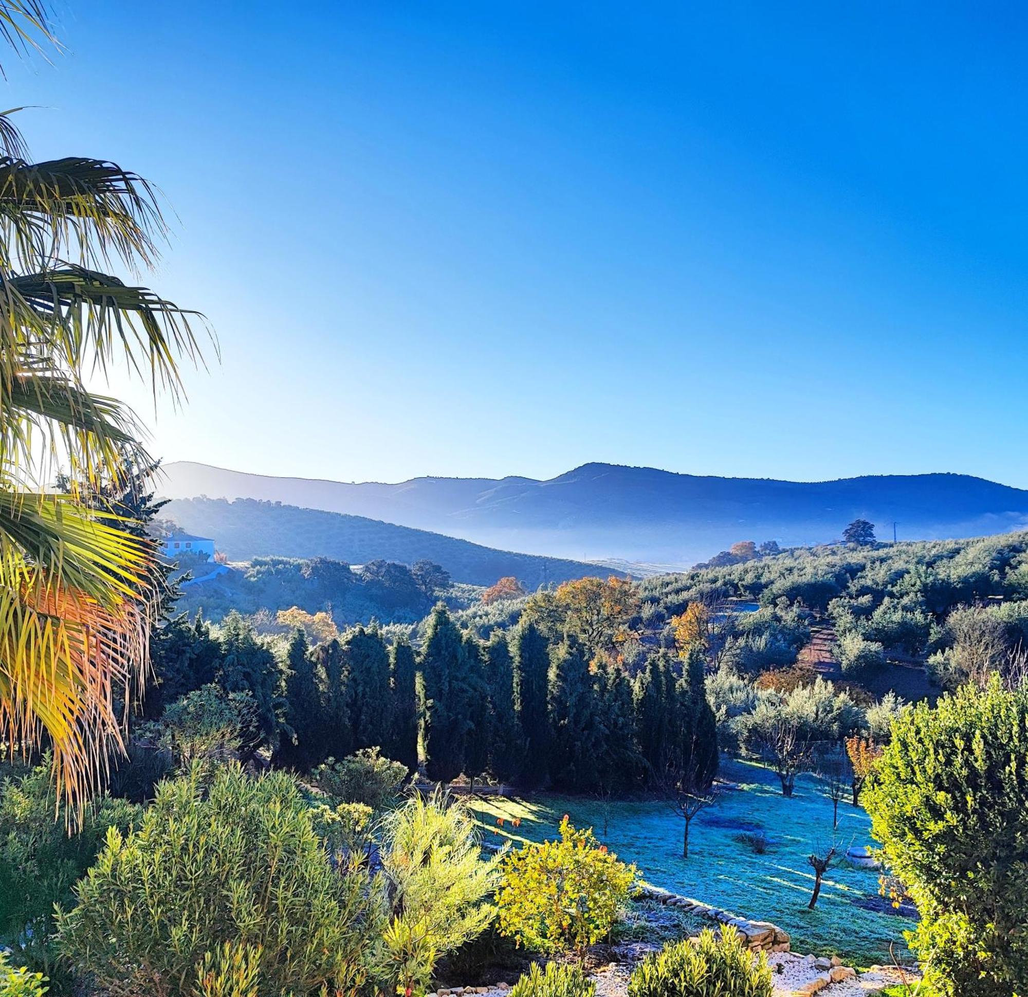 Cortijo Pennymaria Poolside Apartment Near Montefrio With Stunning Views エクステリア 写真